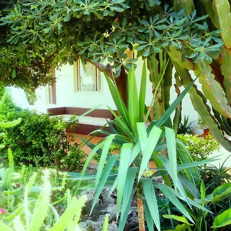 Bed & Breakfast Casahotel Surlamer *